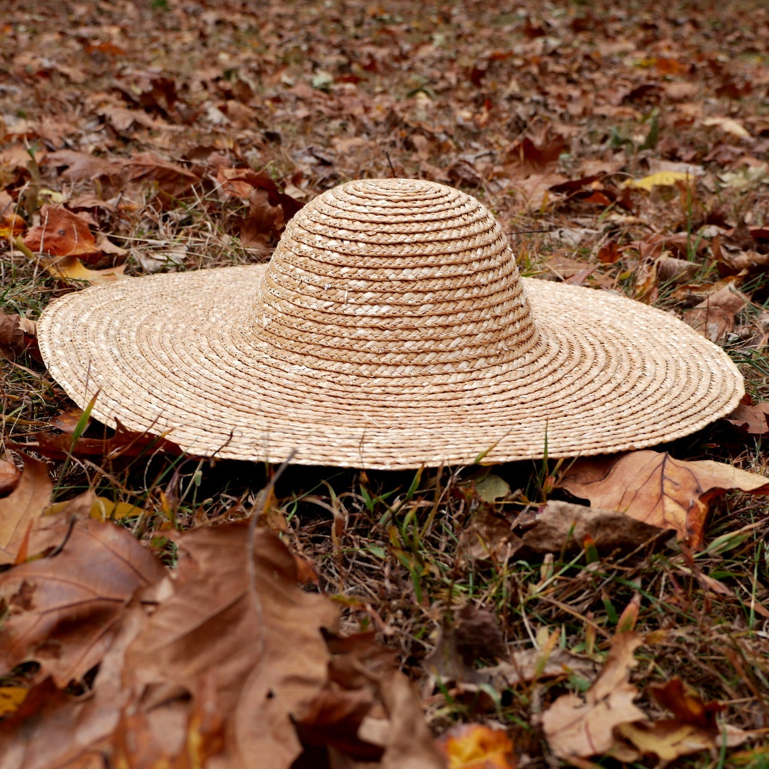 Rounded Straw Hat 18